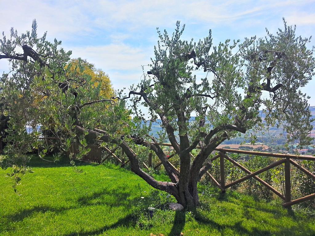 Agriturismo Montemaggio Lapedona Exteriör bild