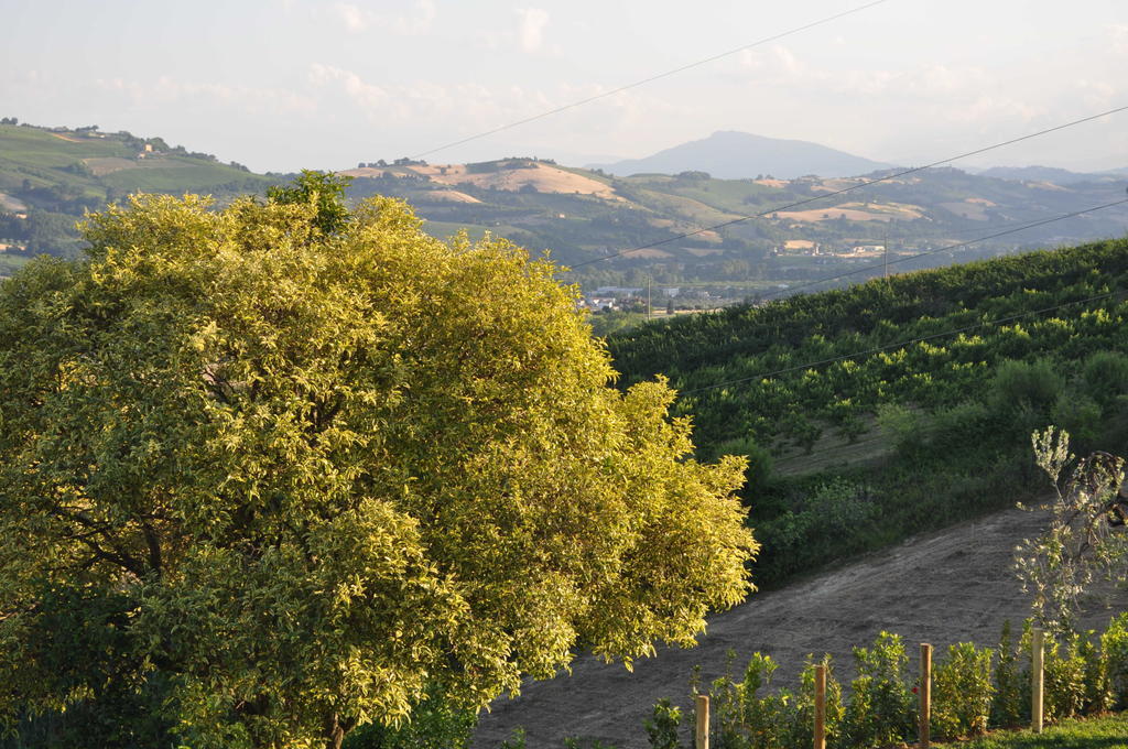 Agriturismo Montemaggio Lapedona Exteriör bild